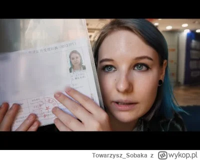 Towarzysz_Sobaka - #raportzpanstwasrodka
 Nasi Milusinscy tak promują chiński czy kam...