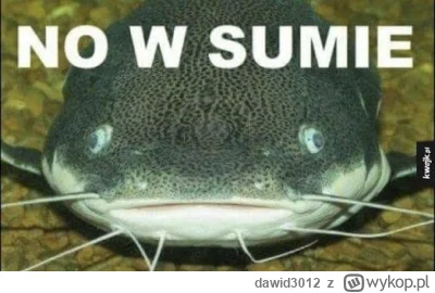 dawid3012 - @ucho_igielne