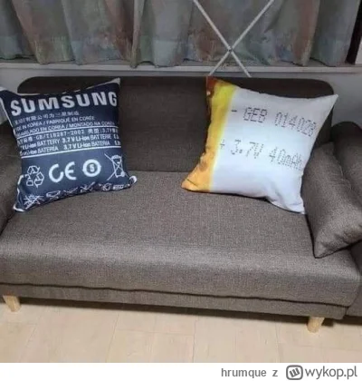 hrumque - Jakoś tak bym mi było nieswojo, coś jakby mieć w salonie wielki i realistyc...