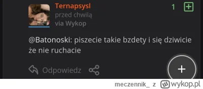 meczennik_ - Perełka normickiego myślenia, klasyk #przegryw