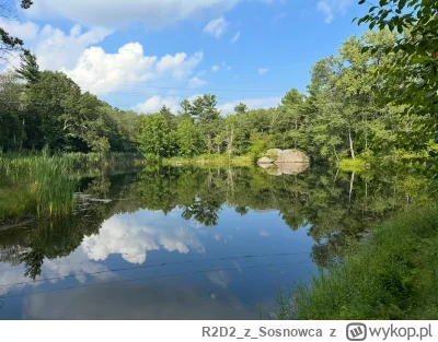 R2D2zSosnowca - @R2D2zSosnowca zaraz przy szczycie taki staw pełen maluteńkich żab co...