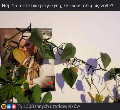 120DniSodomy - co może być przyczyną?

#heheszki #humorobrazkowy #memy #2137