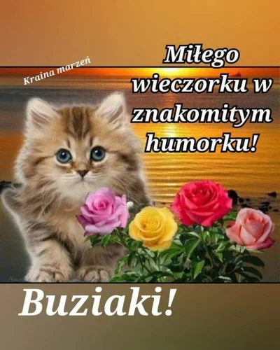 K.....u - #kartkanawieczor @Meanwhile_ @Dziwaczek94 @vieniasn