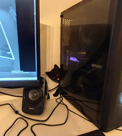 H.....k - Pszne kable, Panie gejmer ( ͡° ͜ʖ ͡°)

#pokazkota #koty