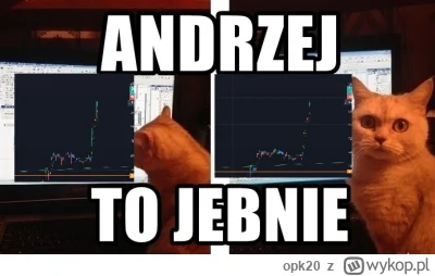 opk20 - #kryptowaluty