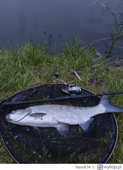 hasek34 - @hasek34 a i jeszcze bolo wpadł