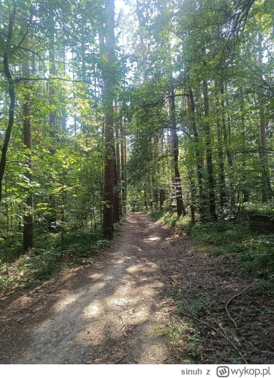 sinuh - Góra Ślęża 
#spierdotrip
