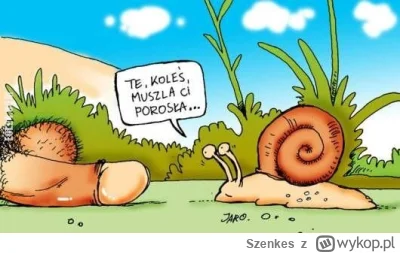 Szenkes - #grazynacore #humorobrazkowy #heheszki