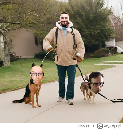 GibolXD - #famemma to już 3 uratowany pies w karierze boxdela