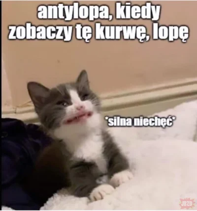 Wild_Rebel - @Solsith Mina jakby zobaczył tę kurvę lopę