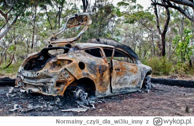 Normalnyczylidlawi3luinny - @tamowsky: może nie wygląda najlepiej na zdjęciu, ale pod...