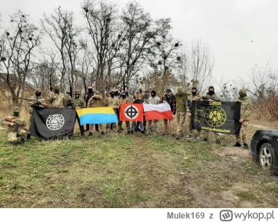 Mulek169 - Ma rację wojna oczyszcza z neonazistów za miedzy, Polacy powinni być zadow...