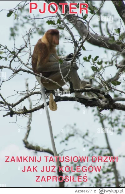 Azorek77 - #konkursnanajbardziejgownianymemznosaczem