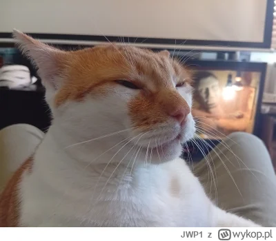 JWP1 - @JWP1 A to Klakier - rudy to wiadomo jaki charakter ma... Najlepszy kumpel Gar...