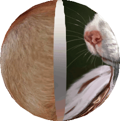 JuzefCynamon - #konkursnanajbardziejgownianymemznosaczem jak nie sprawiedliwość i ant...