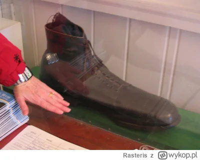 Rasteris - But Roberta Wadlowa, najwyższego człowieka znanego w historii, miał 2,72 w...