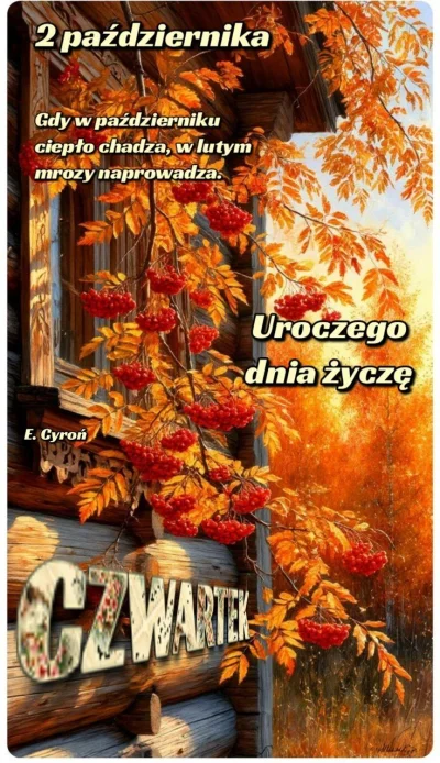 notakjakbytotalnie_ - #kartkanarano