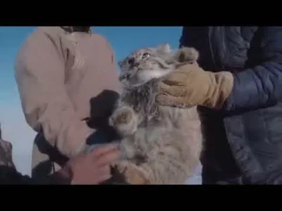 slapdash - The body is round.