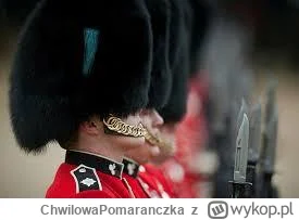 ChwilowaPomaranczka - czy oni w niedawnej przeszłości kogoś zabili w czasie służby pr...