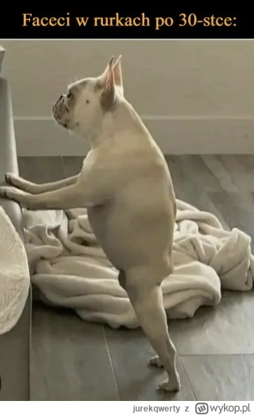 jurekqwerty - @BenAli: tak ubierają się raczej ludzie 40+ do tyłu z modą