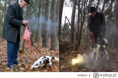 enten - @WujkoDobraRada: Oczywiście, że trzeba przyzwyczajać