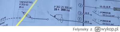Felynsky - Dlaczego projektant na zasilaniu trójfazowym zastosował zabezpieczenie roz...