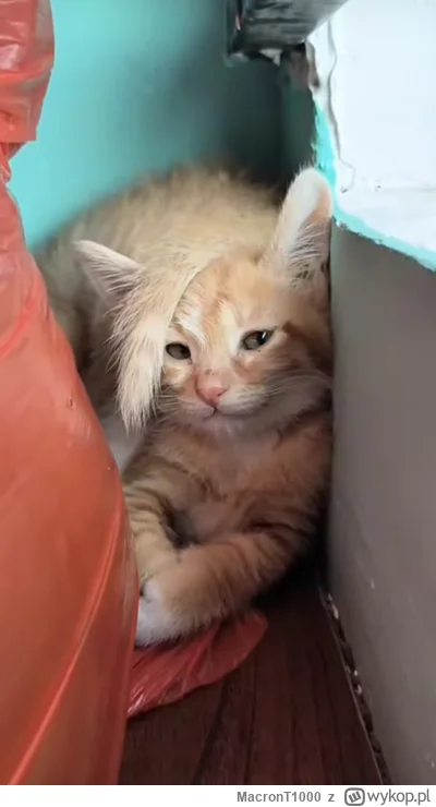 MacronT1000 - No hej