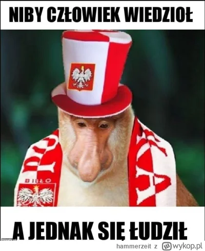 hammerzeit - Dupsko piecze. Wiadomo było praktycznie od początku, ale przyznaje że dz...