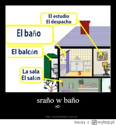 Slacky - #heheszki #hanuszki