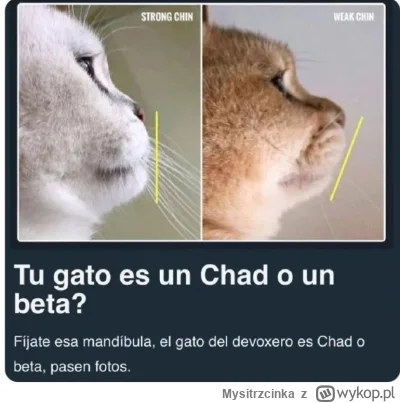 Mysitrzcinka - #przegryw #memy