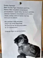 Czerwone_Stringi - EJ ale nie wszyscy #psiarze są nie fajni