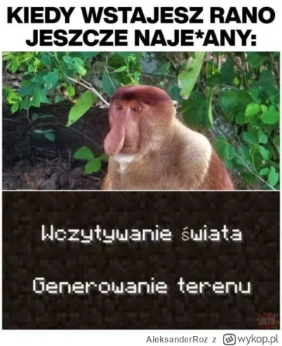 AleksanderRoz - Poniedziałek

#wykop #nosaczsundajski #heheszki