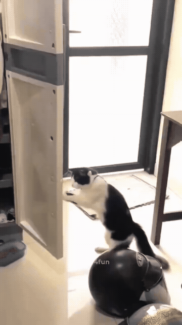 jestemtakizmeczony - @jestemtakizmeczony: