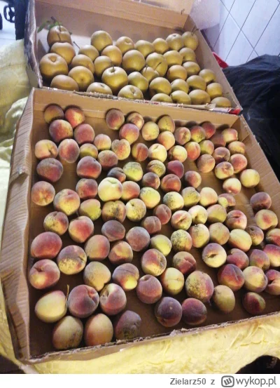 Zielarz50 - Dżemor będzie robiony z własnych brzoskwini
#chwalesie #przegryw #ogrodni...