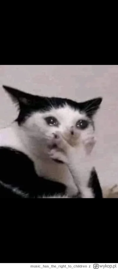 musichastherightto_children - @oslawoooo: biedne, młode, polskie rodziny - ani sprzed...