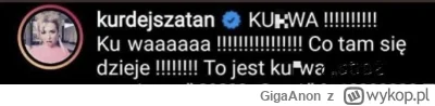 GigaAnon - Kurdej szatan weszła na nowy wykop i skomentowała
#przegryw