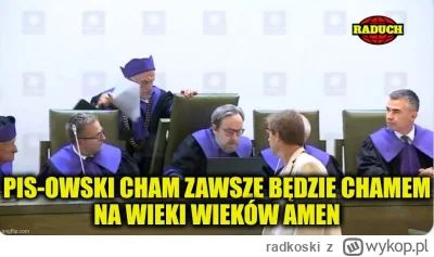 radkoski - #bekazpisu #polityka 😎