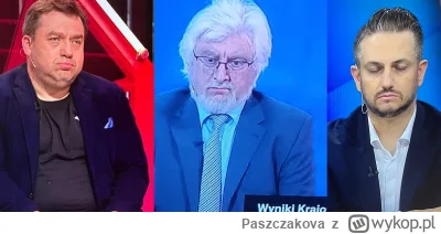 Paszczakova - #wybory uśmiechnijcie się brygada hej!