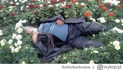 RafaellusAnalus - #kononowicz borneg już po śniadanku #patostreamy