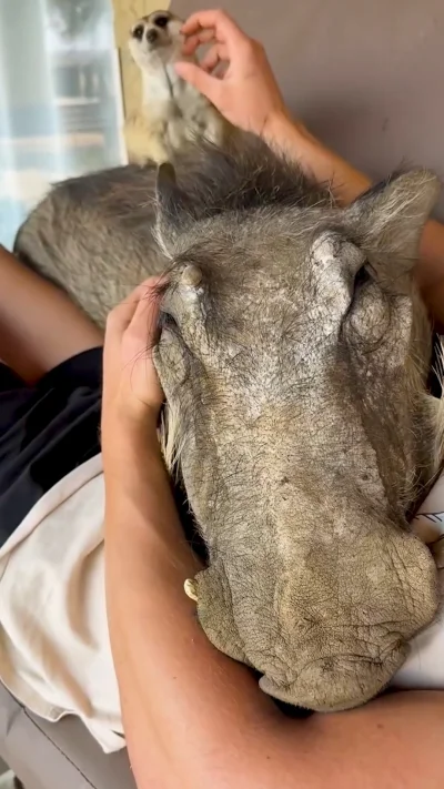 Moczymorda77 - #raportzpanstwasrodka 
Ekspert maupcin frejer właściciel obozu śmierci...