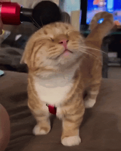 jestemtakizmeczony - @jestemtakizmeczony: