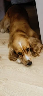 kidi1 - Oto moja maszyna do zabijania. Jak widać, jest odbezpieczony i gotowy żeby za...