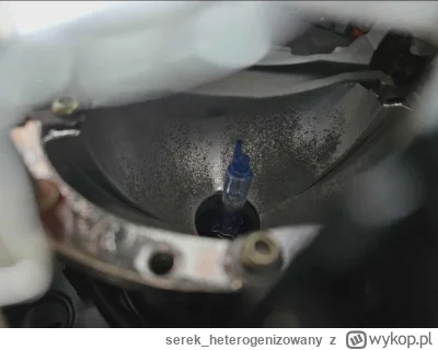 serek_heterogenizowany - @WykopanyDzon: Klosze będą przeszlifowane i polakierowane (a...