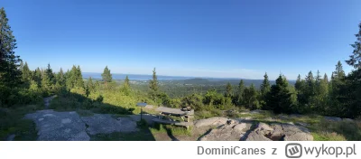 DominiCanes - I tak uważam, że lepiej grać w #tibia niż łazić. #norwegia #emigracja
C...