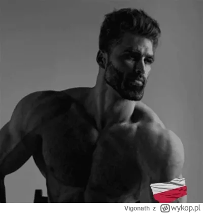 Vigonath - Siadaj byku, opowiem ci jak zajebiście być Polakiem.

O k---a, wspaniała r...