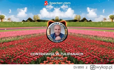 Drill90 - Rozmowia sebcel z tajgerem bonzo:
-oszołomie, jutro niedziela, tak?
-...
-t...