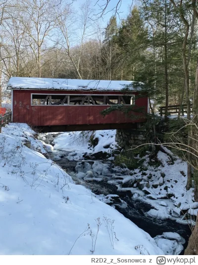 R2D2zSosnowca - @R2D2zSosnowca: ᶘᵒᴥᵒᶅ