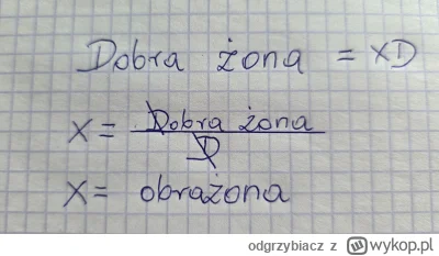 odgrzybiacz - Małżeństwo to matematyka #heheszki #humor