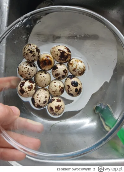 zsokiemowocowym - W smaku podobne do kurzych, ale bardziej delikatne