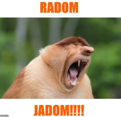 derivatives - JAAADOOM
#mecz